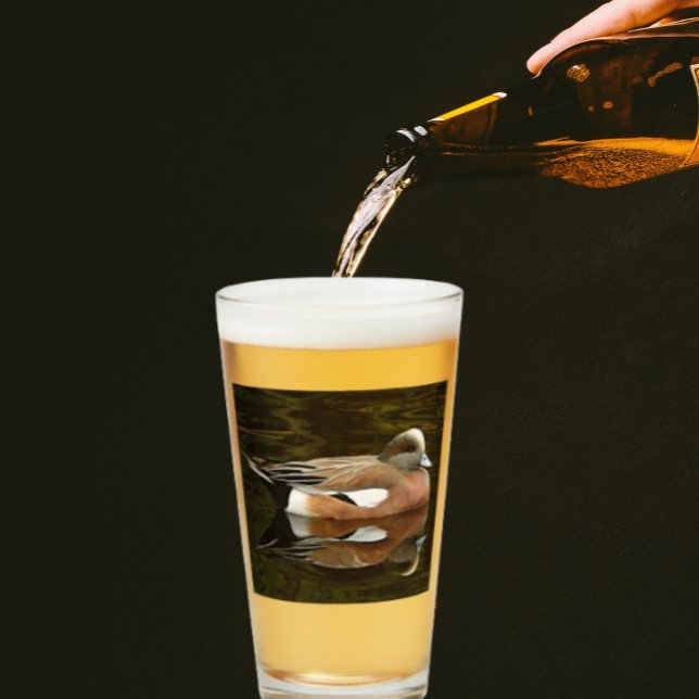 Copo De Pint Pato Americano Wigeon no Pond (In Situ)