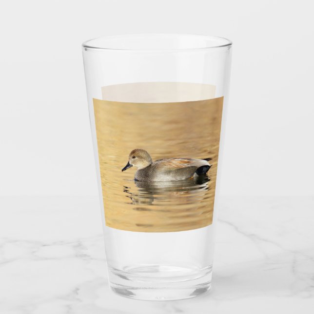 Copo De Pint Pato-macho Gadwall (Frente)