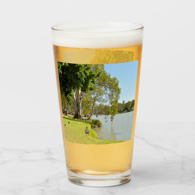 Copo De Pint Patos No Rio Murray Austrália, (Frente (Preenchido))