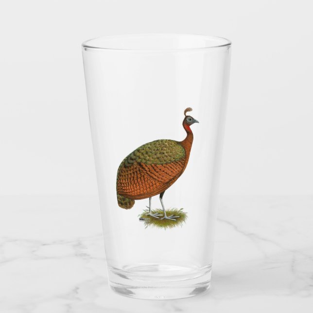 Copo De Pint Peafowl do Congo (Frente)