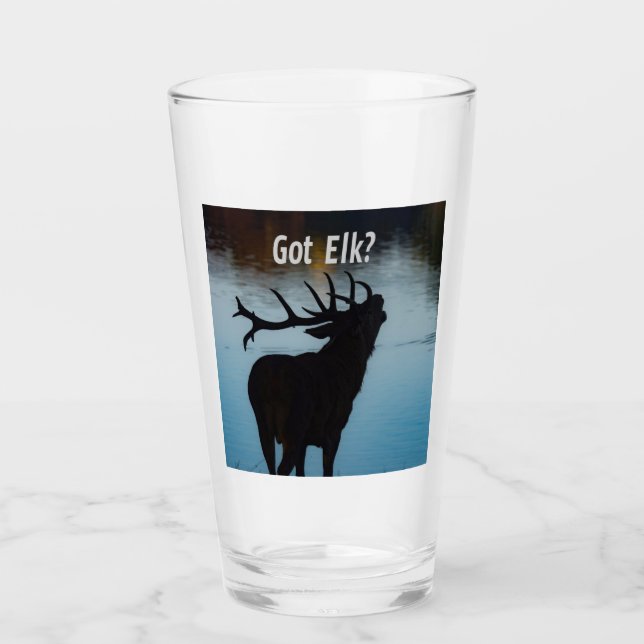 Copo De Pint Pegou Elk? Engraçado Hunter Humor (Frente)