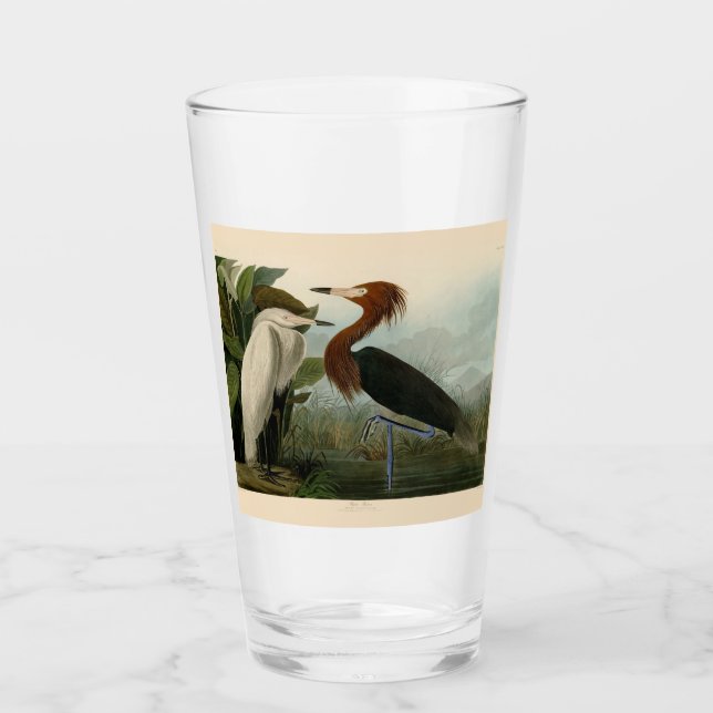 Copo De Pint Púrpura Heron Audubon Bird Willife Painting (Frente)
