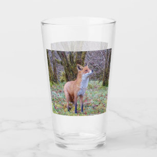 Copo De Pint Raposa Vermelha Curiosa Olhando para Cima Arte da