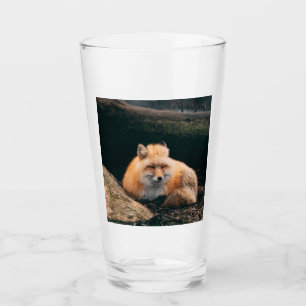 Copo De Pint Raposa Vermelha Dormindo