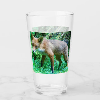 Copo De Pint Red Fox Cub