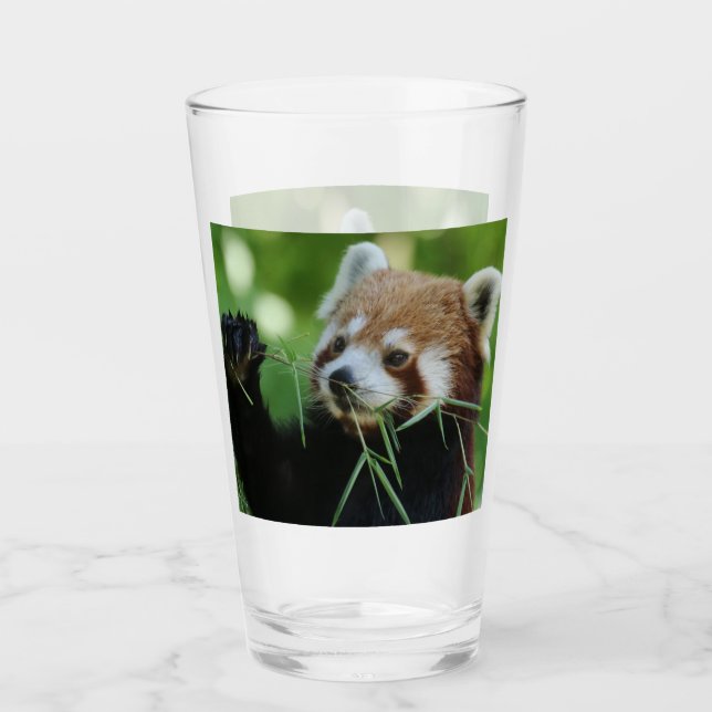Copo De Pint RedPanda 002 (Frente)