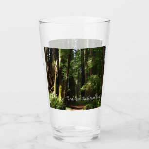 Copo De Pint Redwoods e Samambaias no Parque Nacional Redwood