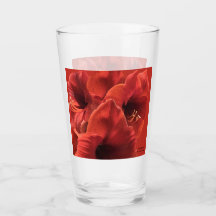 Rich Earthy Ruby Red Amaryllis Foto