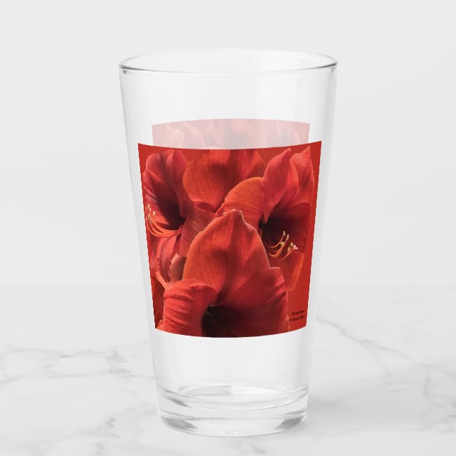 Copo De Pint Rich Earthy Ruby Red Amaryllis Foto (Frente)