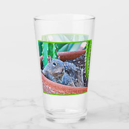 Copo De Pint Tumbler de vidro da bebida do esquilo à terra