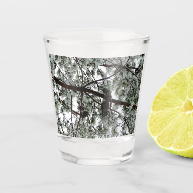 Copo De Shot Abaixo da neve coberta pela árvore de pinheiro Fot (Frente)