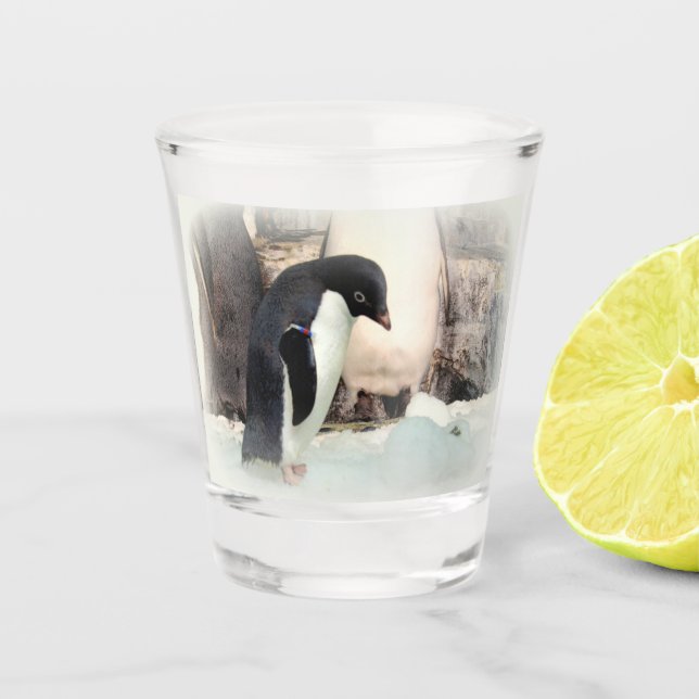 Copo De Shot Adélie penguin Shot glass (Frente)