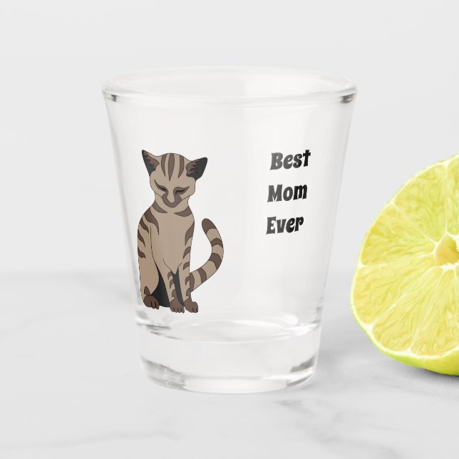 Copo De Shot Adorável Tan Tabby Kitten Sentado (Frente)