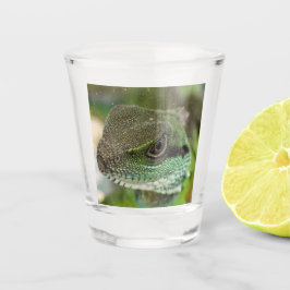 Copo De Shot Agama, lagarto