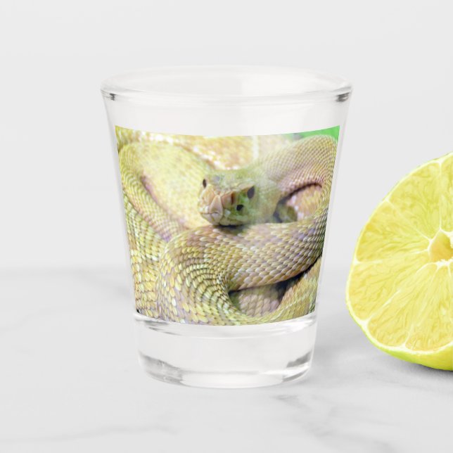 Copo De Shot Albino Rattlesnake Shot glass (Frente)
