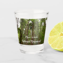 Copo De Shot Até Sequoias Eu no Monumento Nacional de Muir Wood