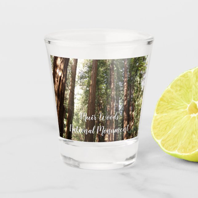 Copo De Shot Até Sequoias II no Monumento Nacional de Muir Wood (Frente)