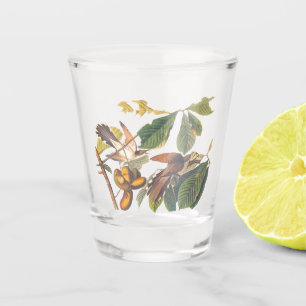 Copo De Shot Aves de Cuco de Fita Amarela-Audubon em Árvore de