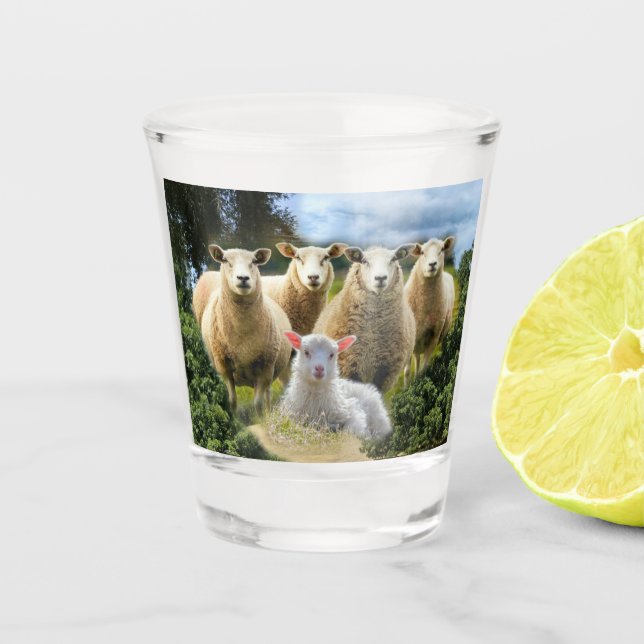 Copo De Shot Bando de Ovinos (Frente)