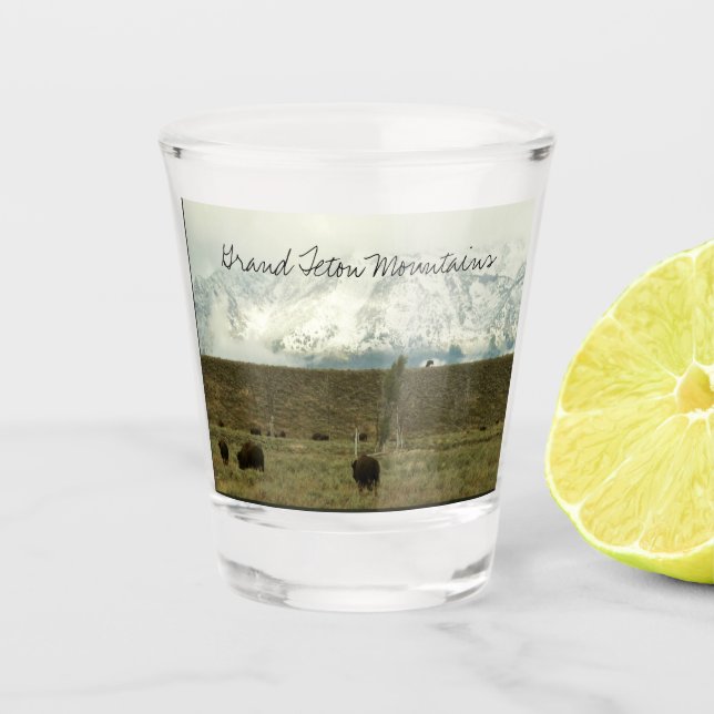 Copo De Shot Bison no Grand Teton National Park Fotografia (Frente)