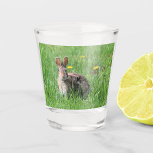 Copo De Shot Bunny