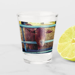 Copo De Shot Cabra castanha