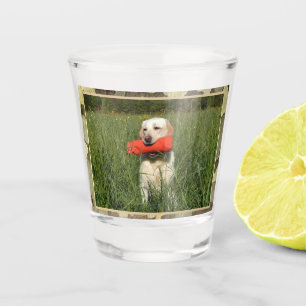 Copo De Shot Cachorro Amarelo Caça Com Camo Trim