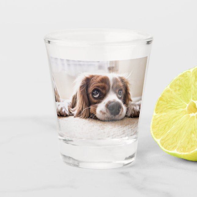 Copo De Shot Cachorro Panelado De Olhos Tristes (Frente)
