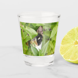 Copo De Shot Calico Cat nos Zinnias