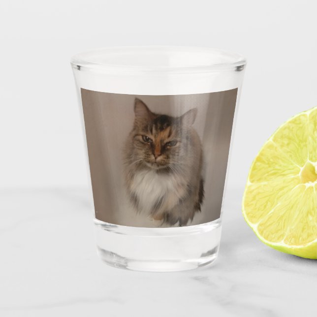 Copo De Shot Calico Cat Shot Glass (Frente)