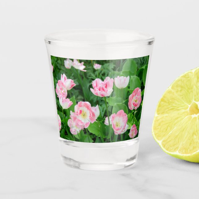 Copo De Shot Campo de tulipas rosa (Frente)