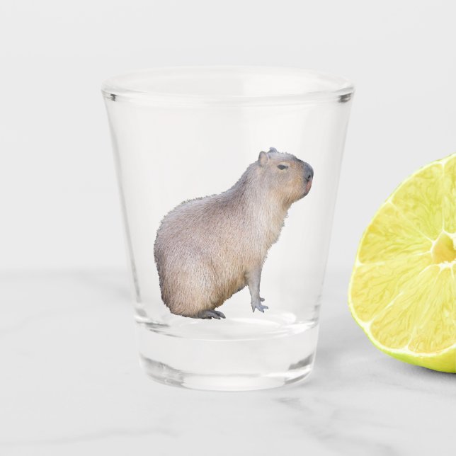 Copo De Shot Capybara (Frente)