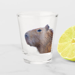 Copo De Shot Capybara