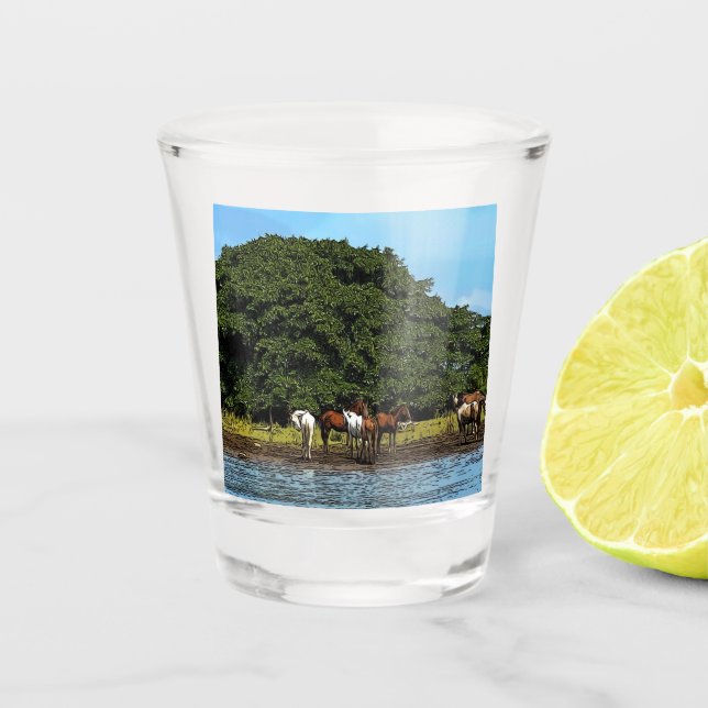 Copo De Shot Cavalos pela água - Costa Rica (Frente)