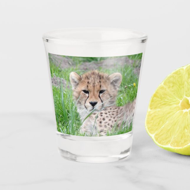 Copo De Shot Cheetah 002 (Frente)
