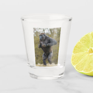 Copo De Shot Chest Beating Gorilla