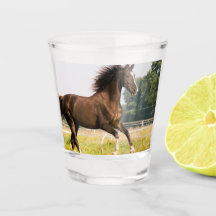 Crie a Foto do Seu Cavalo de Estimação Personaliza