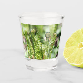 Copo De Shot Despertar jovem samambaia no jardim