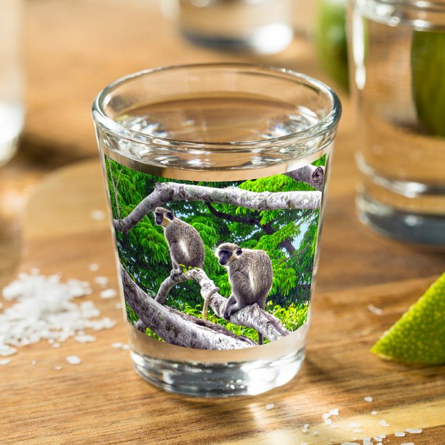 Copo De Shot Dois Macacos Verdes Sentados Em Vidro De Tree Shot (Criador carregado)