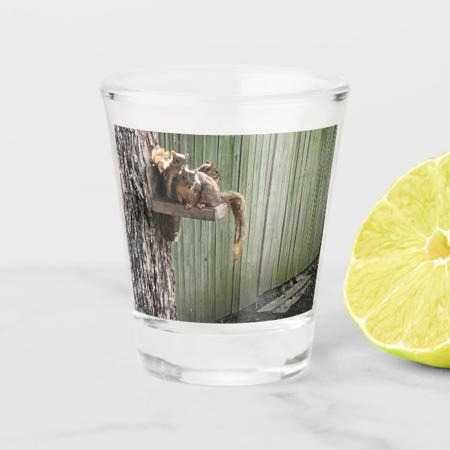 Copo De Shot Esquilo (Frente)