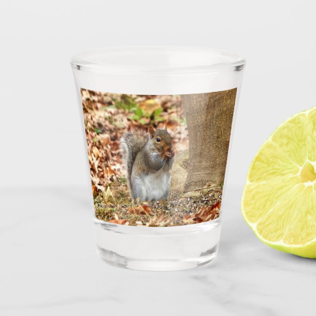 Copo De Shot Esquilo famoso (Frente)