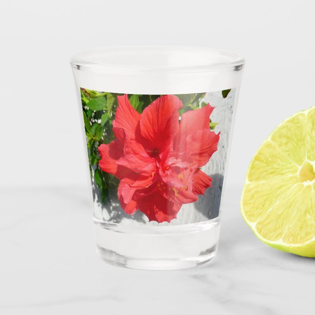 Copo De Shot Flor Red Double Hibiscus (Frente)
