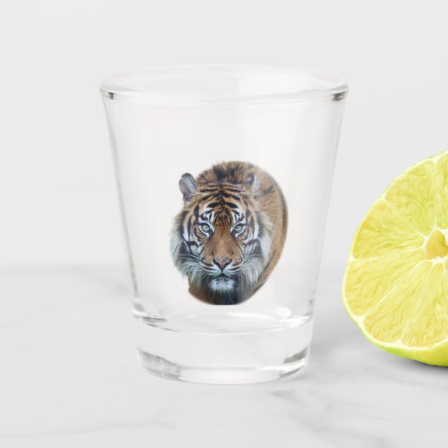 Copo De Shot Foto Bengala Tiger Face (Frente)
