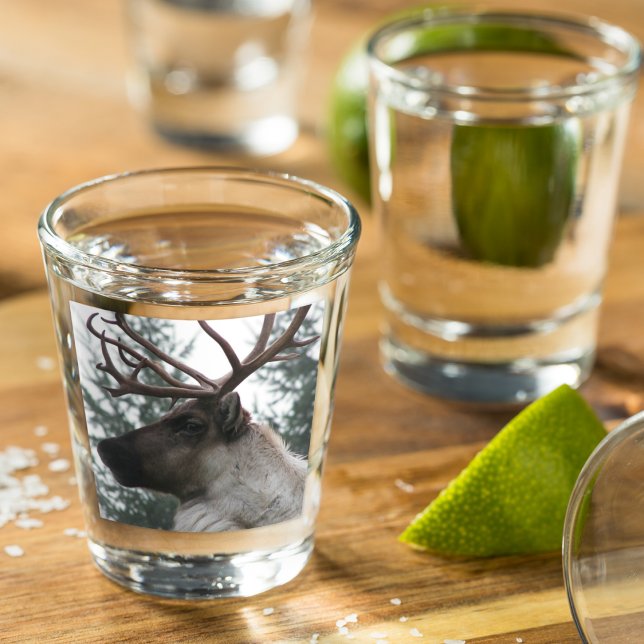 Copo De Shot Foto do Cariou Antlered (In Situ)