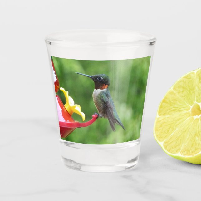 Copo De Shot Fotografia de ave-de-galinha-do-mato-rúbi (Frente)