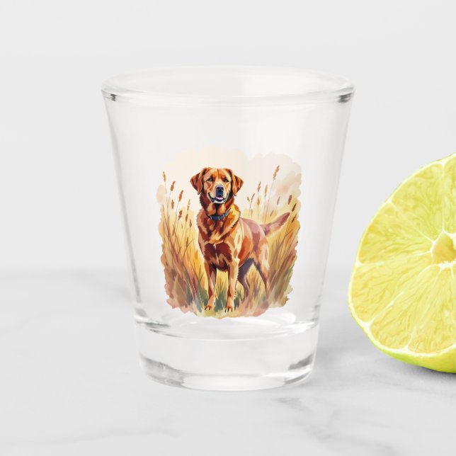 Copo De Shot Fox Red Labrador Retriever Dog (Frente)