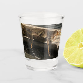 Copo De Shot Gafanhoto