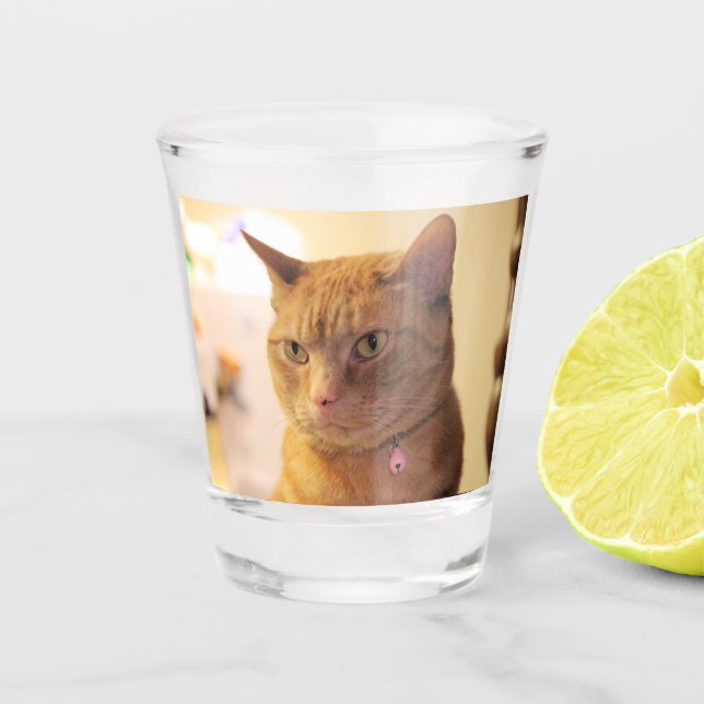 Copo De Shot Gato (Frente)
