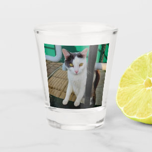 Copo De Shot Gato preto e branco