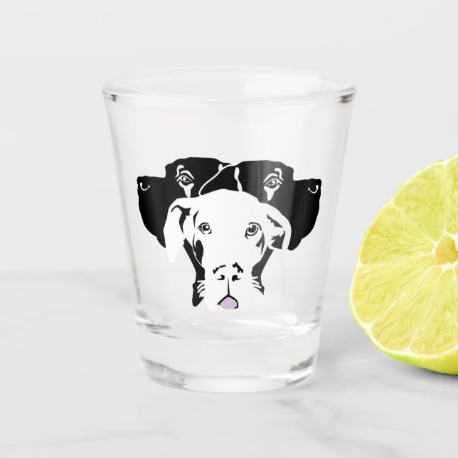 Copo De Shot Grande Dane Puppy com Stars Shot Glass (Frente)